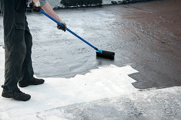 Best Custom Concrete Contractor  in Belleview, FL